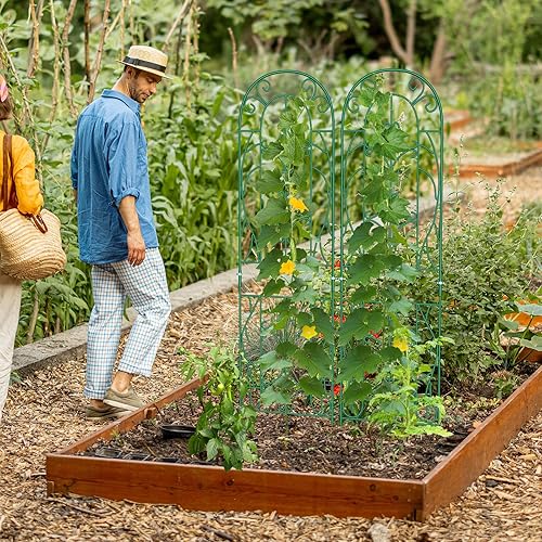 Miniatura 4 de DoCred Paquete de 6 jaulas para tomates, soportes para plantas, estacas de jardín, hasta 49 pulgadas, estacas multifuncionales de enrejado de jardín