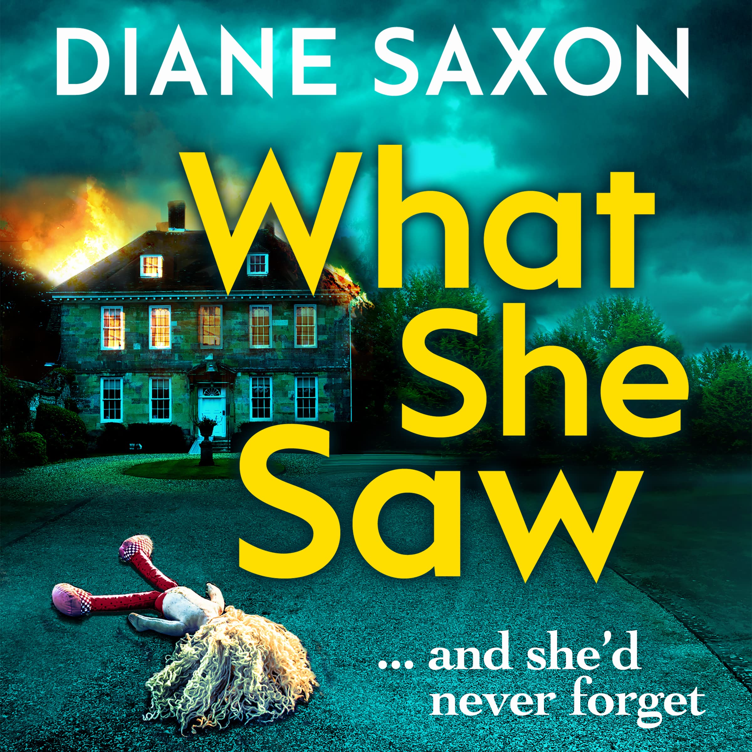 Buy What She Saw: An addictive psychological crime thriller to keep you gripped (DS Jenna Morgan, 3) — BookShops.in