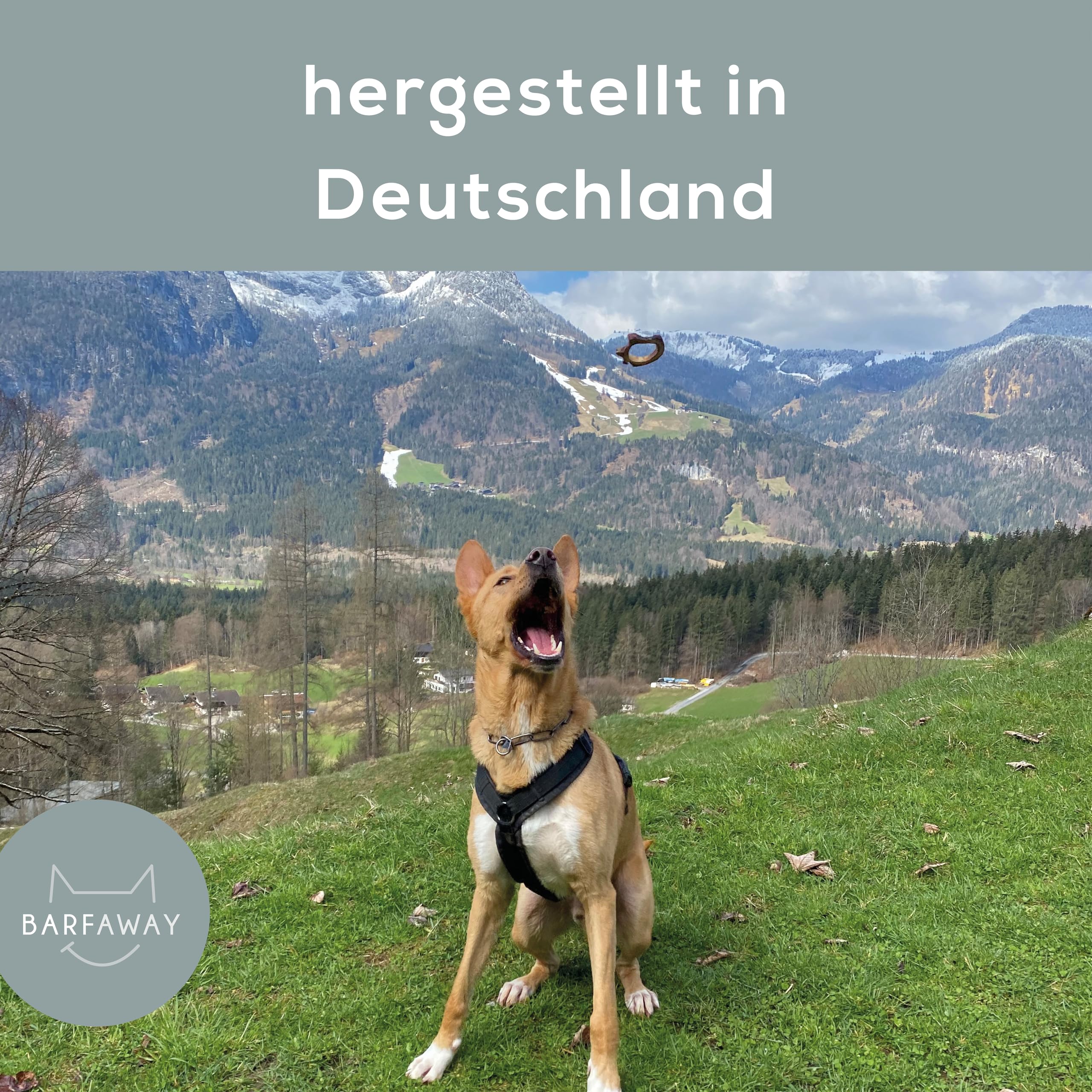 gefriergetrocknetes Hühnerbrustfilet, Premium Muskelfleisch, gesunde Hundeleckerlies, getreidefrei, zuckerfrei, 100% natürlich ohne Zusätze, Deutsche Herstellung, 500 g
