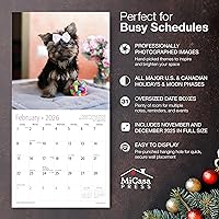Vista 2 de MICASA PRESS Yorkie Puppies Yorkshire Terriers - Calendario de pared 2026 de 12 meses 12 x 24 pulgadas abierto Papel grueso y resistente