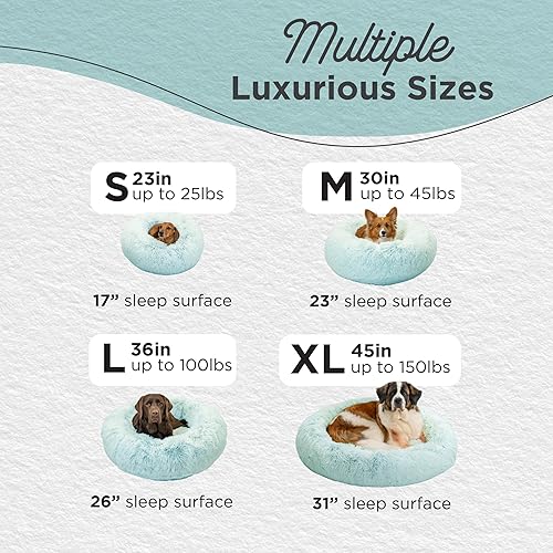 Miniatura 4 de Best Friends by Sheri - The Original Calming Donut - Cama calmante en forma de dona para perros y gatos - Pelo largo, azul bebé, S, 23 x 23 pulgadas