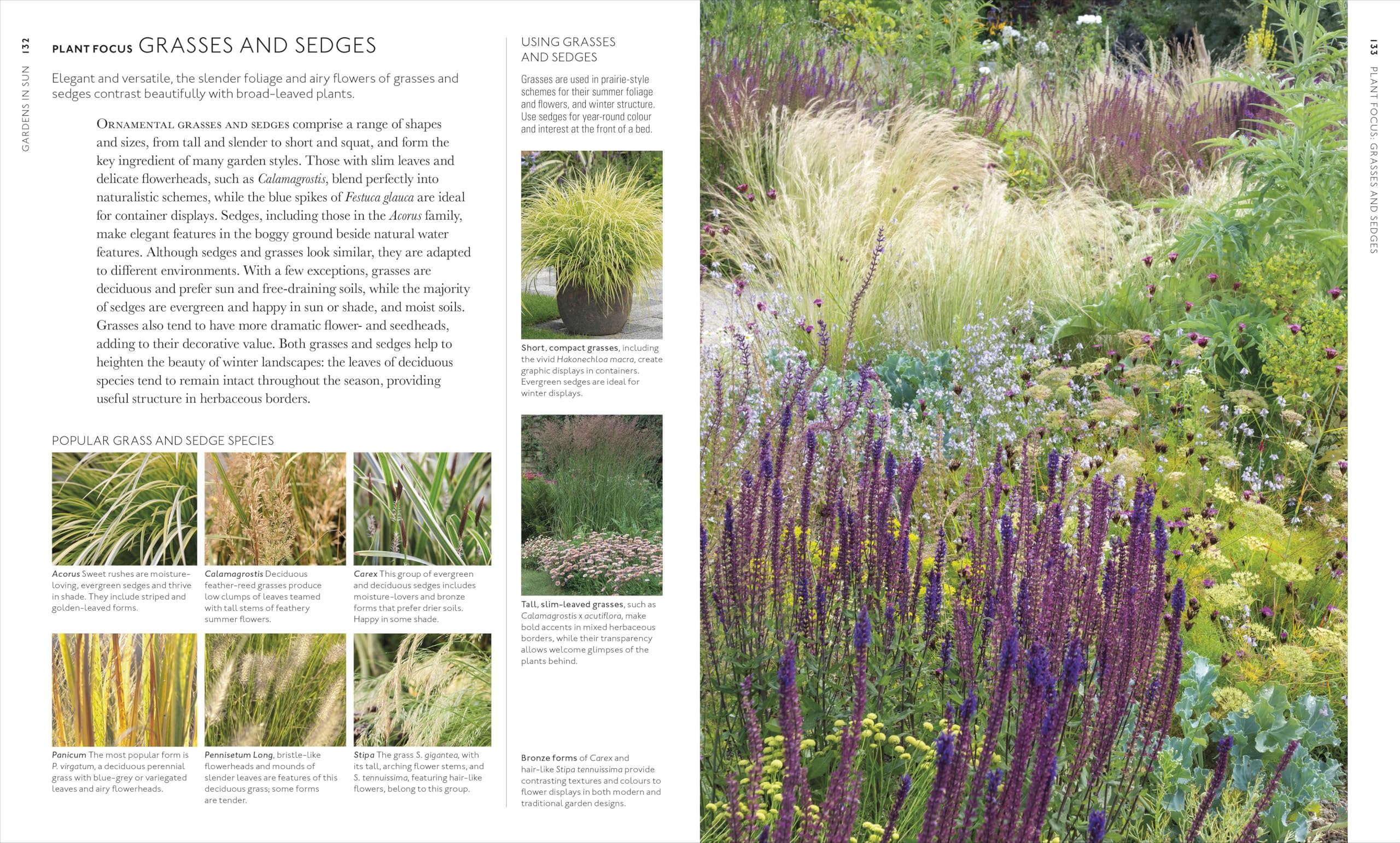RHS What Plant Where Encyclopedia: An Expert Guide to More Than 3,000 Plants