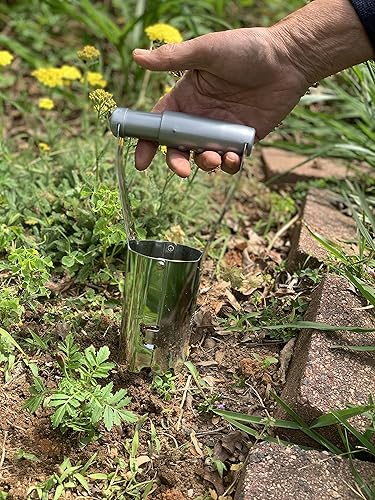 Miniatura 2 de Bert's Garden Maceta de acero duradero con acabado cromado y medidas de profundidad en el lateral, fácil liberación de tierra, tulipanes, narcisos y