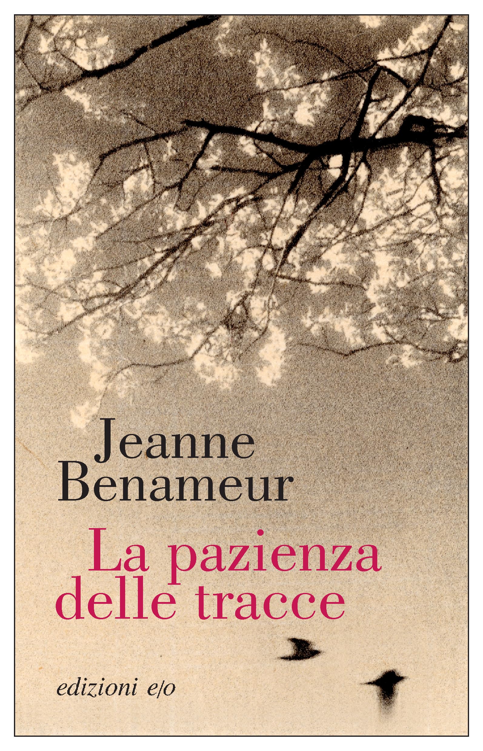 La Pazienza Delle Tracce - 4