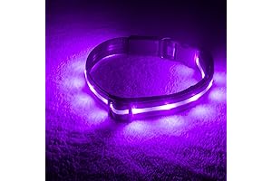 BLAZIN Brightest Light Up Dog Collars: Walk Your Dog with Confidence in the Dark