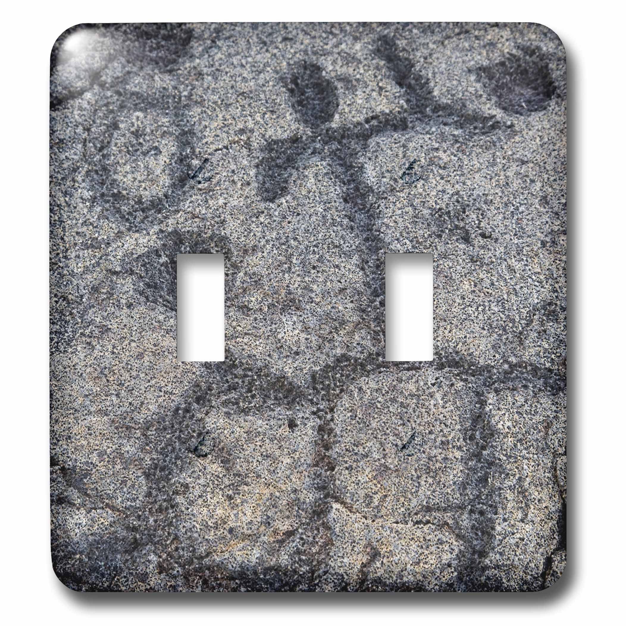 Remplacer plaque blanche par double interrupteur décoratif Petroglyph Hawaii 3dRose