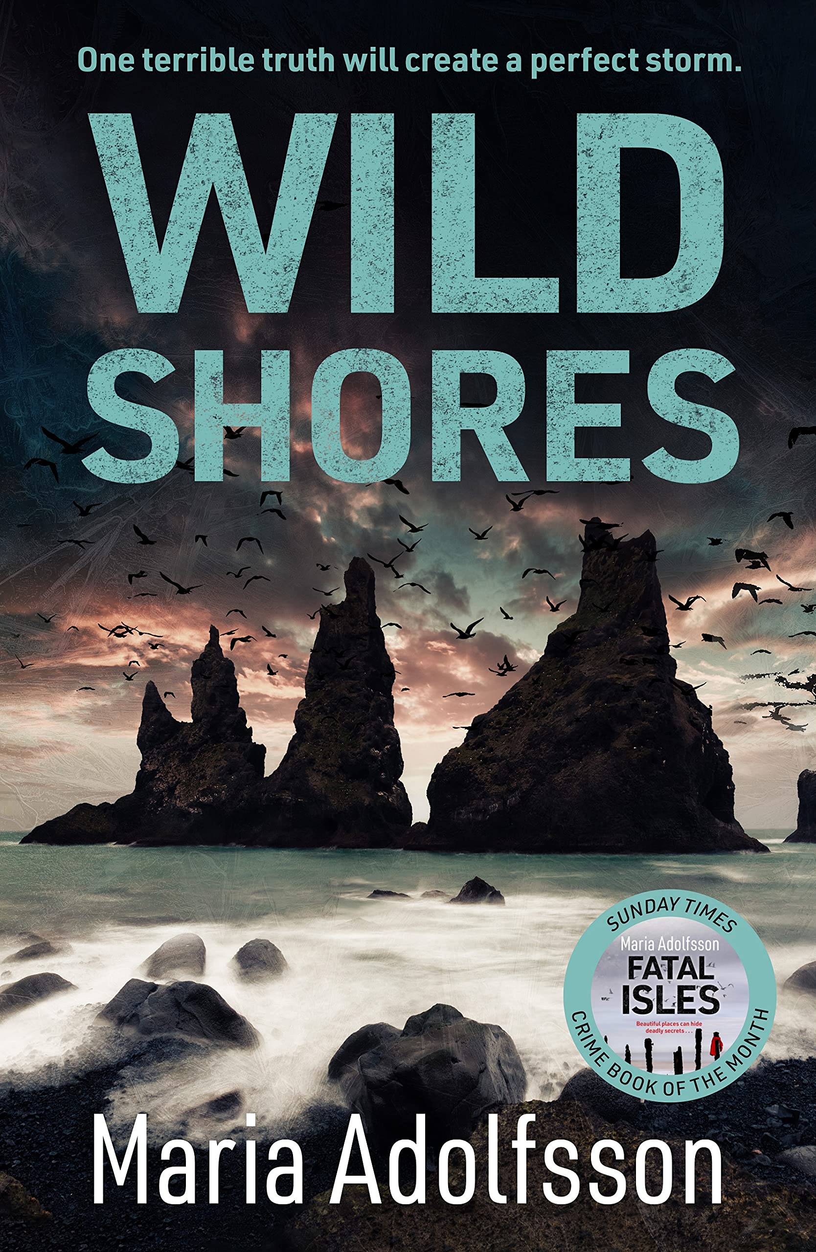 Wild Shores: The bestselling atmospheric police procedural that has taken the world by storm (Doggerland Book 2)