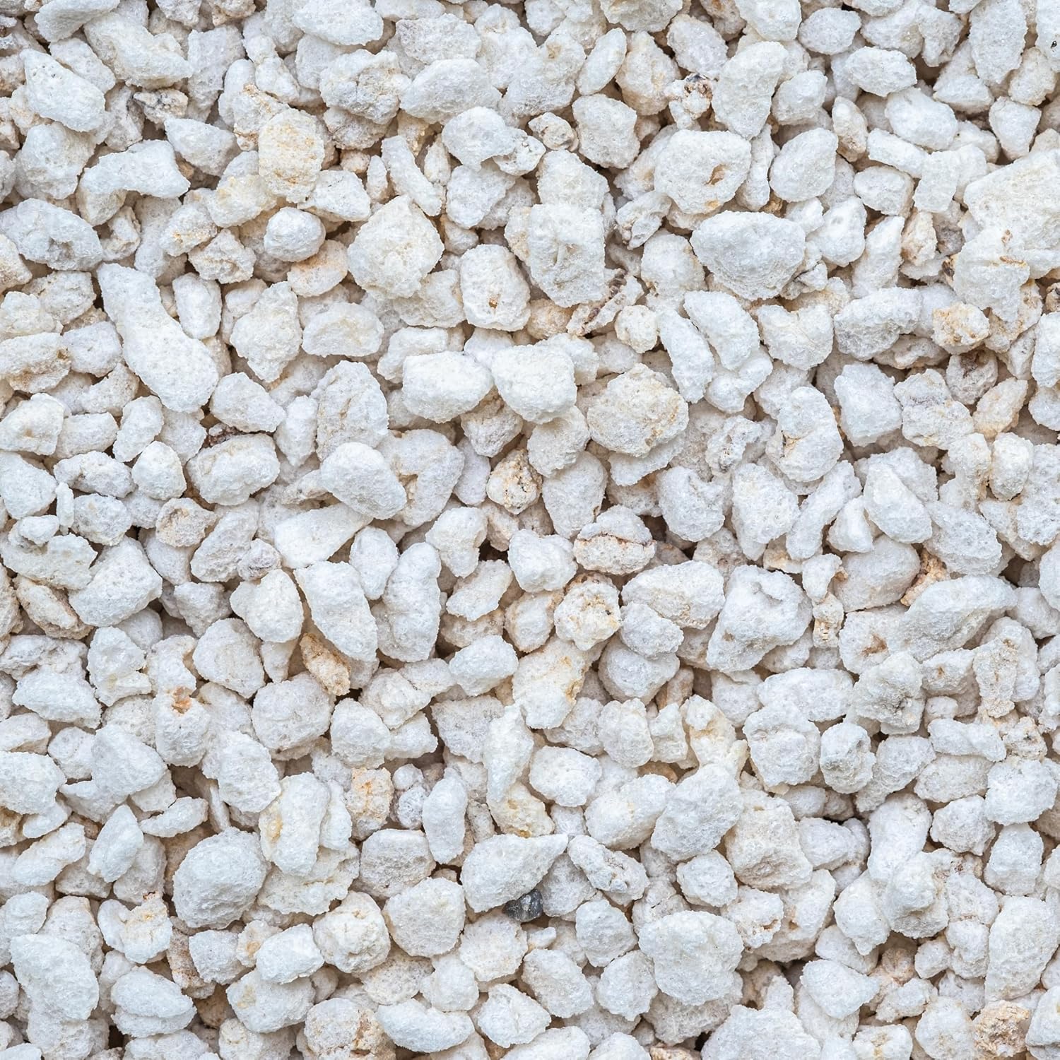 Amazon.com : GARDENWISE Perlite for Plants, Extra Coarse Grade 4 ...