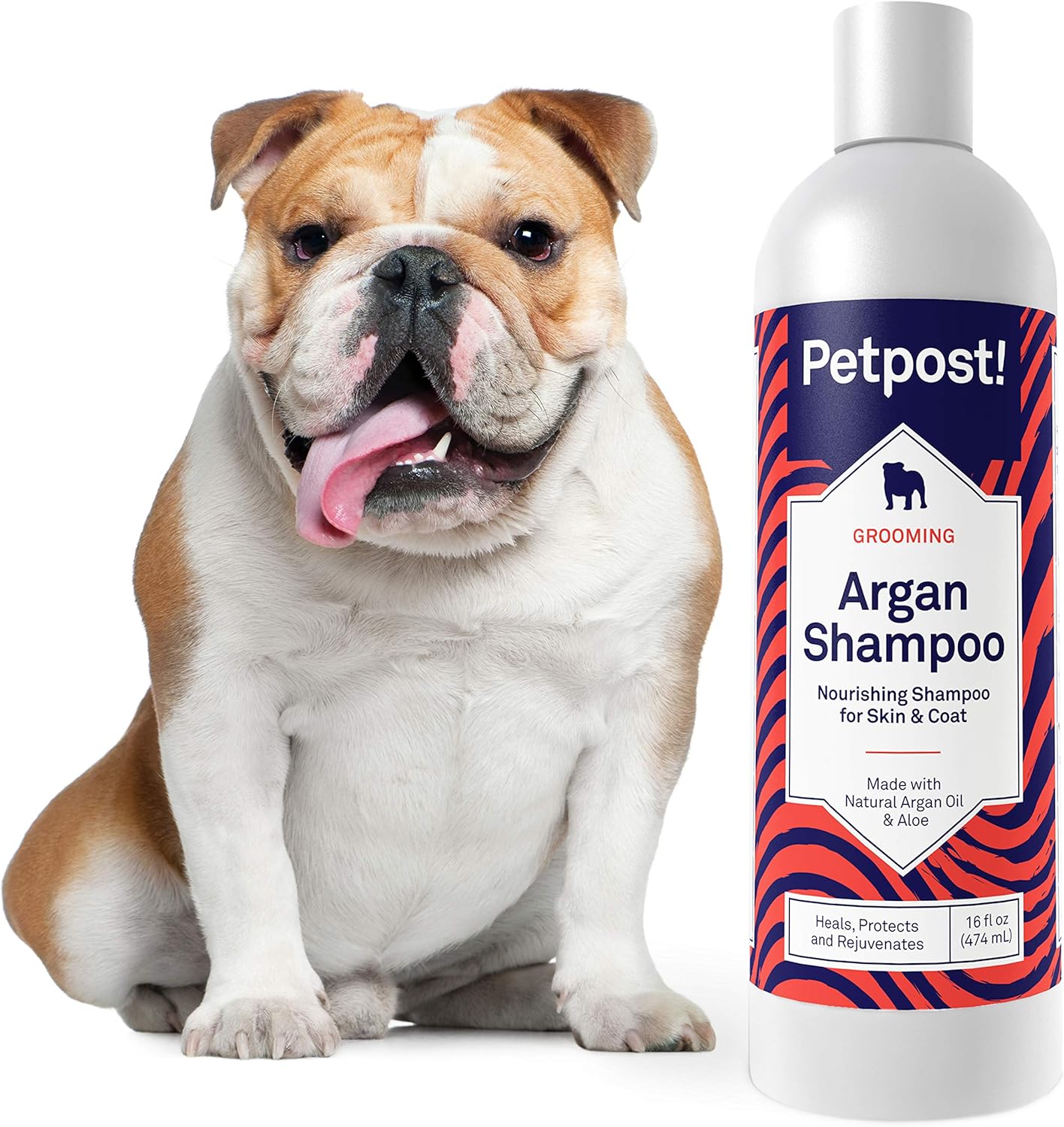 Amazon Com Petpost Shampoo For Dry Skin Dogs Argan Naturally Heals Protects Rejuvenates Dog Itchy Skin Coat Argan Oil And Aloe Formula 16oz