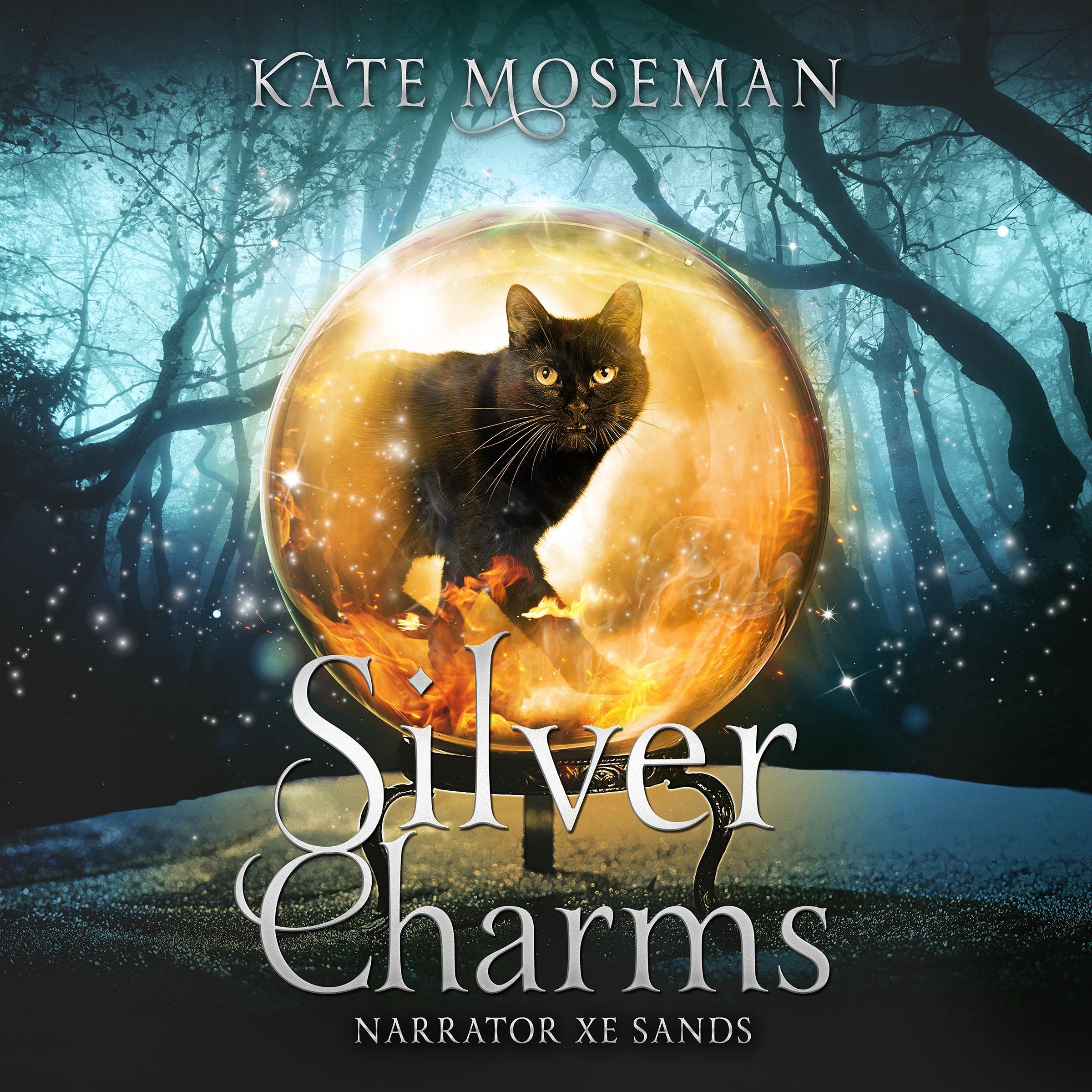 Silver Charms: A Paranormal Women's Fiction Novel (Midlife Elementals, Book 2)
