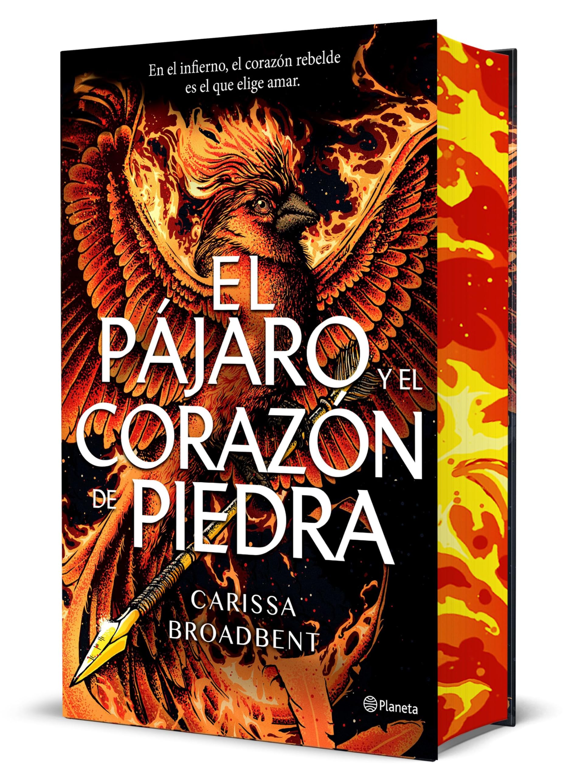 El pájaro y el corazón de piedra (Edición Deluxe): 3