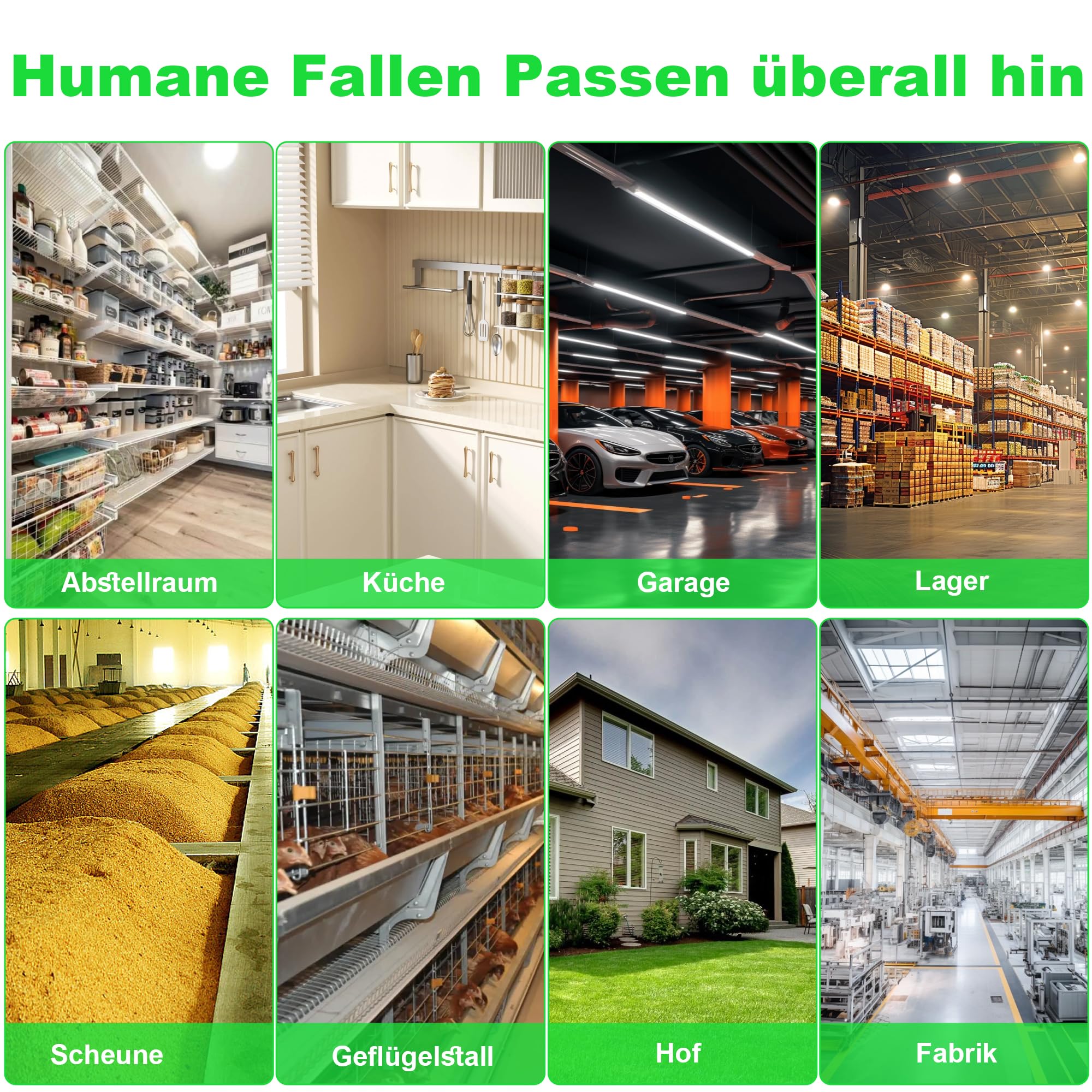Mausefalle Lebend, Rattenfalle Lebendfalle 2er Set XL Groß Tierfalle Wiederverwendbare Mäuse Falle Lebend Käfig für Innen & Aussen, 100% Effektiv & Verletzungsfrei