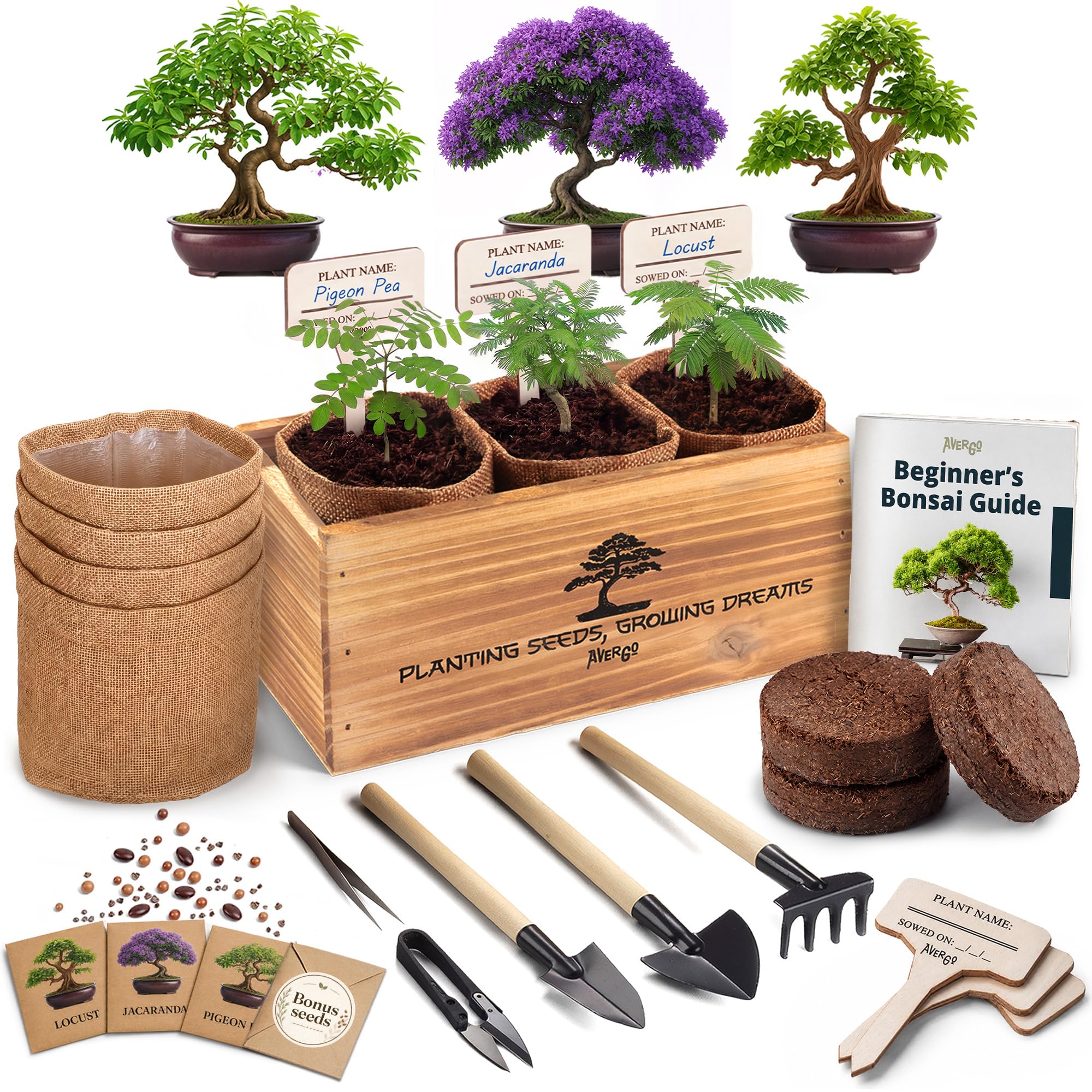 Amazon.com : Bonsai Tree Kit Classic - Growing 3 Unique Japanese