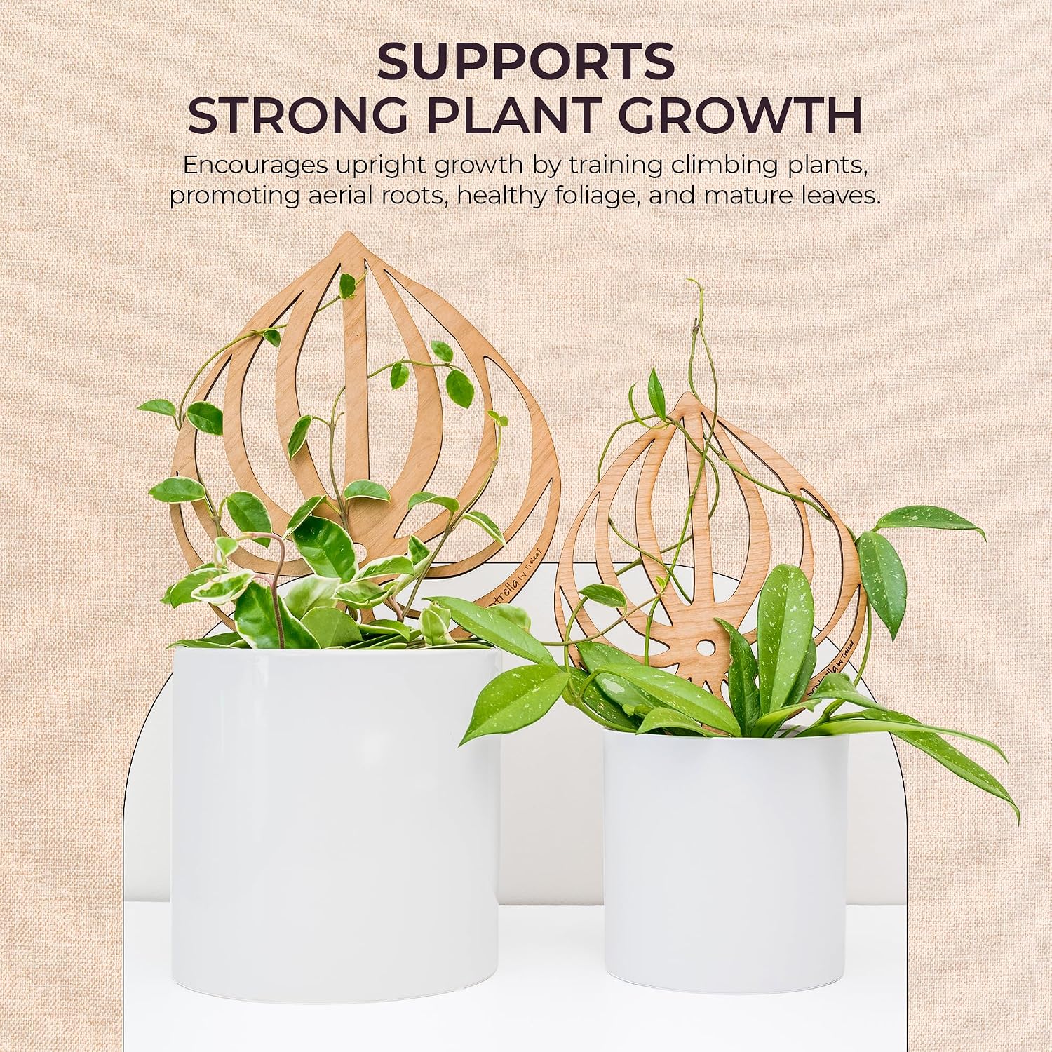 Treleaf Peptrella Watermelon Peperomia Inspired Wooden Trellis – Petite Size 9" Indoor Plant Support for Hoyas and Climbing Plants – Decorative Houseplant Trellis and Wooden Plant Stake