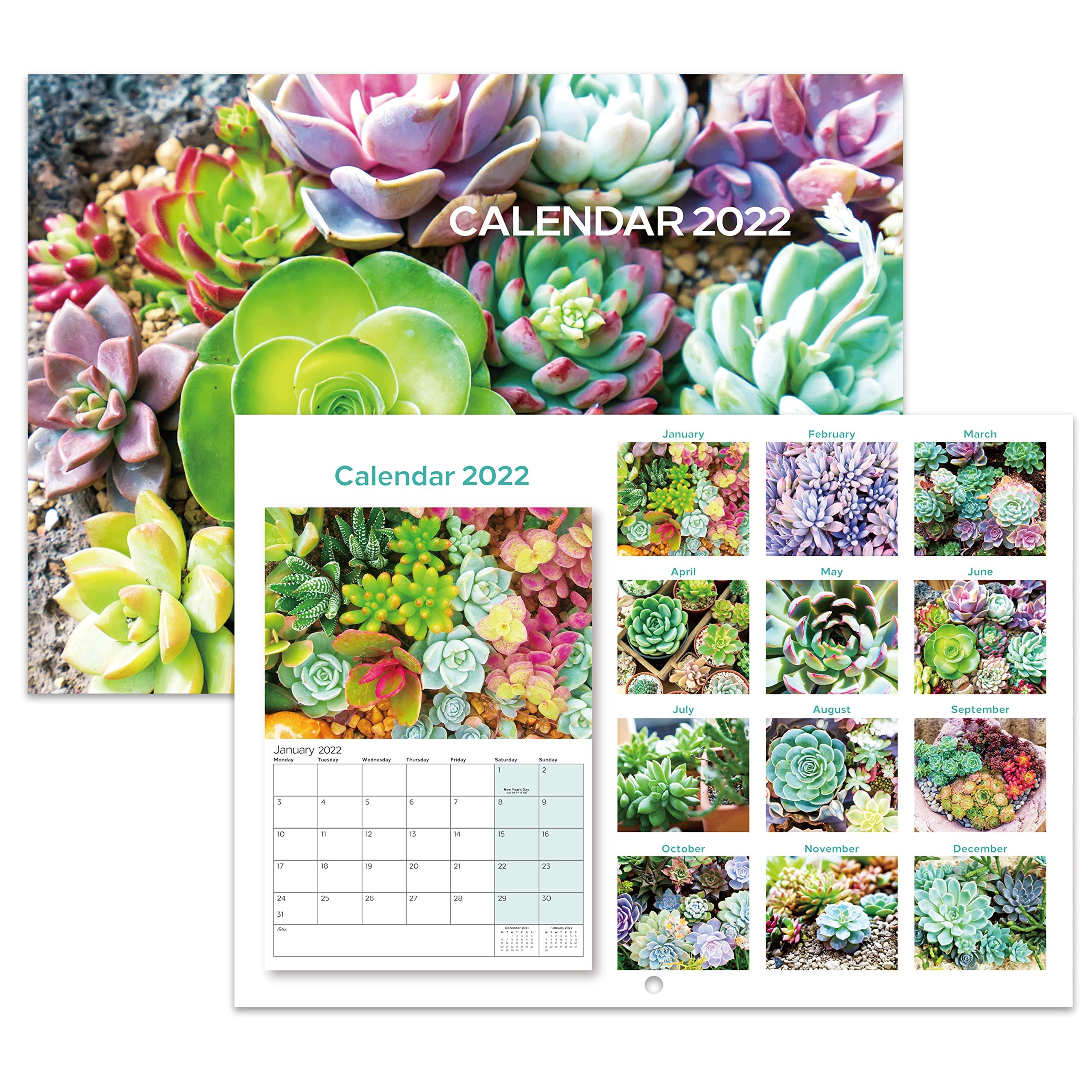 Buy Amazon Brand Eono 2022 Calendar Wall Planner, Month to View 2022