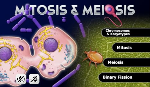 FCS - Mitosis & Meiosis