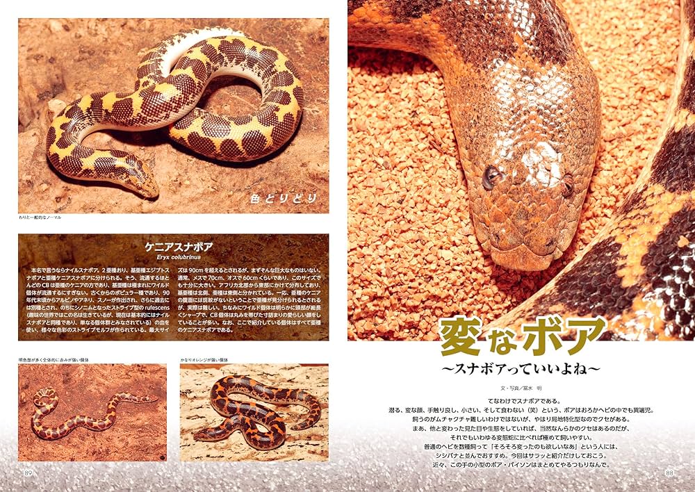 飼育マニュアル　　No.1〜No.8 ８冊 飼育マニュアル No.1〜No.8 8冊 飼育マニュアルNo.1〜No.8