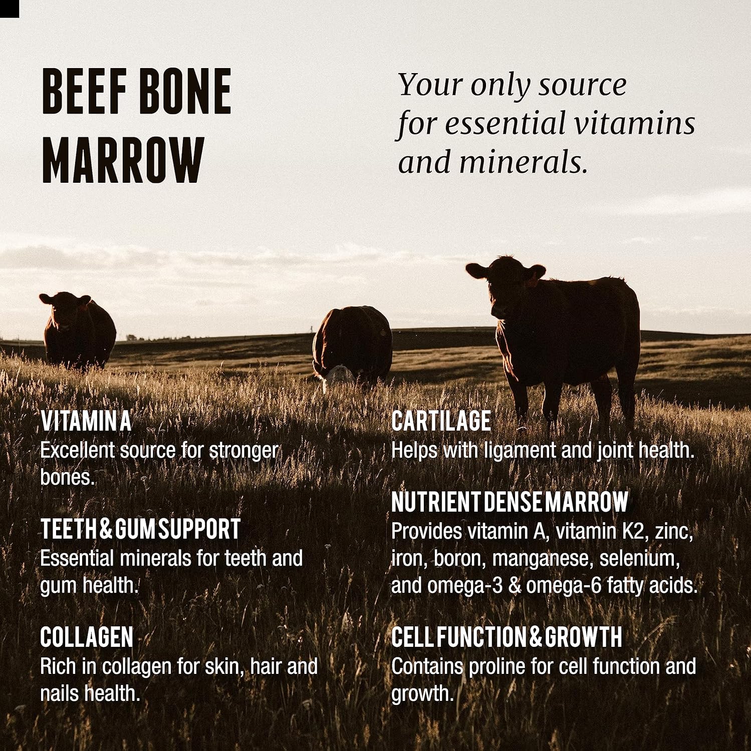 One Earth Health Grass Fed Beef Bone Marrow Supplement – (200 Count) Bone, Cartilage and Marrow. New Zealand Sourced. - Image 4