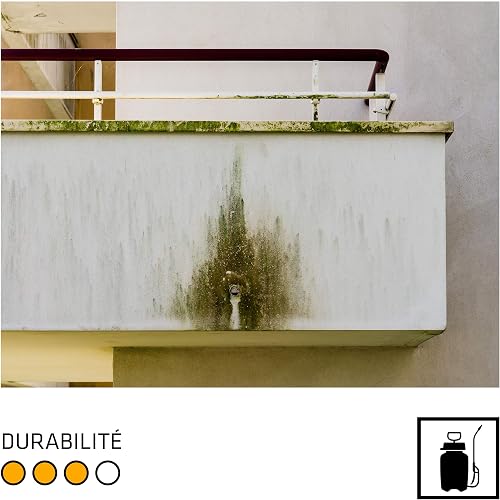 Produto B07BLCYQCH - 5
