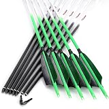 Linkboy Archery Flechas de carbono para práctica de caza, flechas fluorescentes con punta extraíble para arcos largos recurvos compuestos, columna vertebral 250 300 340 400 500 600 700 800, paquete de