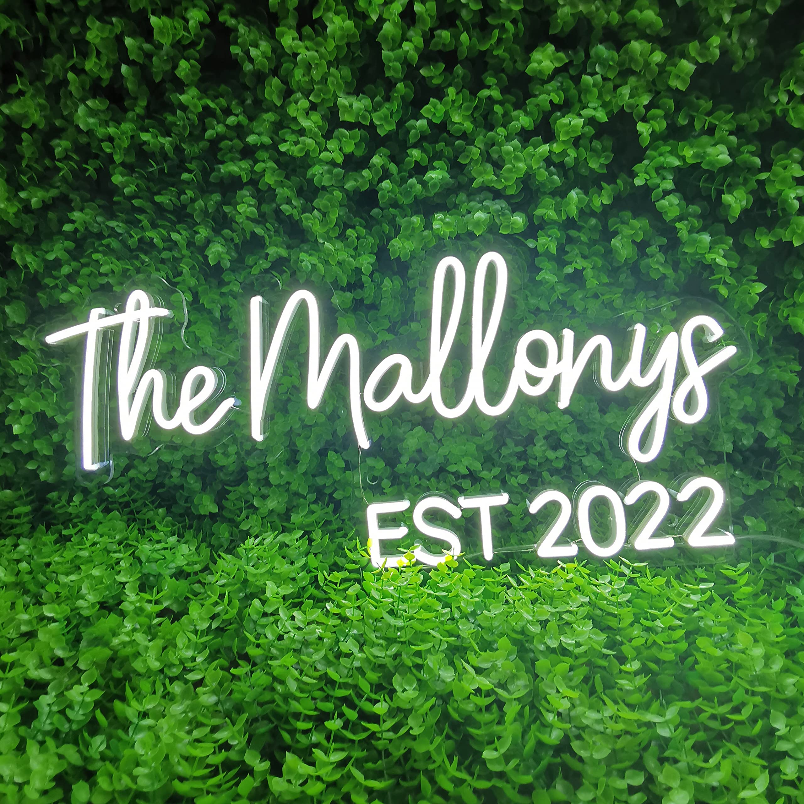 Custom Neon Signs Personalised Large Neon Lights Sign for Wedding Bar Coffee Salon Store Light Sign Last Name Sign for Wedding Backdrop (2 Line Text, 36 inches)