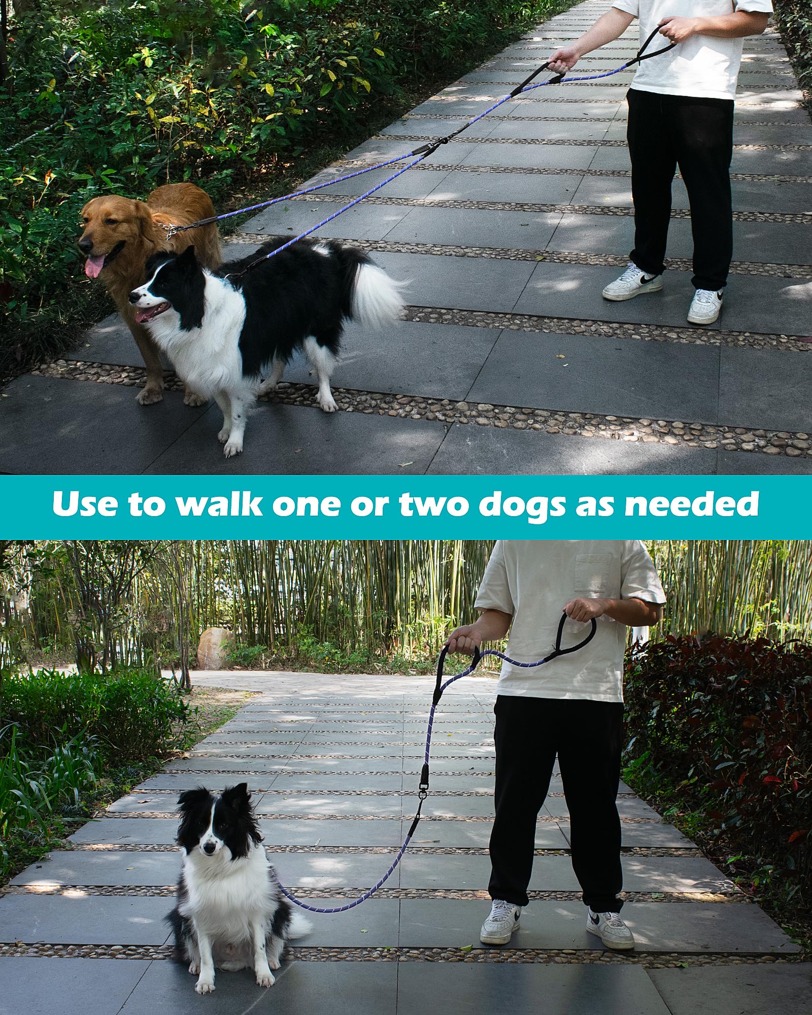 PetBonus Hundeleine Doppelleine für 2 Hunde, Keine Verwicklung Trainingsleine mit Zwei Gepolsterten Griffen, Reflektierend Nylon Doppelte Leinen für Große Mittlere Hunde 1,2×195 cm (Blau)