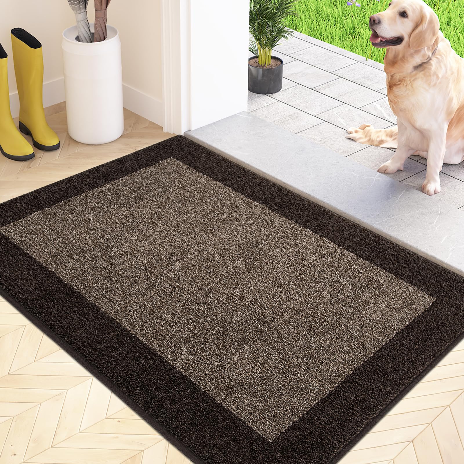 FCSDETAIL Felpudo Entrada Casa 60 x 90 cm, Alfombra Antideslizante y Lavable en Lavadora, Alfombra Atrapapolvo Absorbentes para Perro, Entrada, Puerta, Pasillo