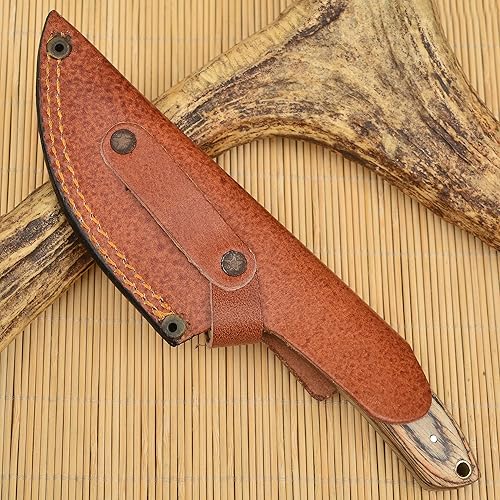 Miniatura 8 de WARIVO KNIFE Cuchillo de caza de espiga completa, cuchillo de gancho intestinal de 8 pulgadas, cuchillo de pelar para cazar, cuchillo de hoja fija