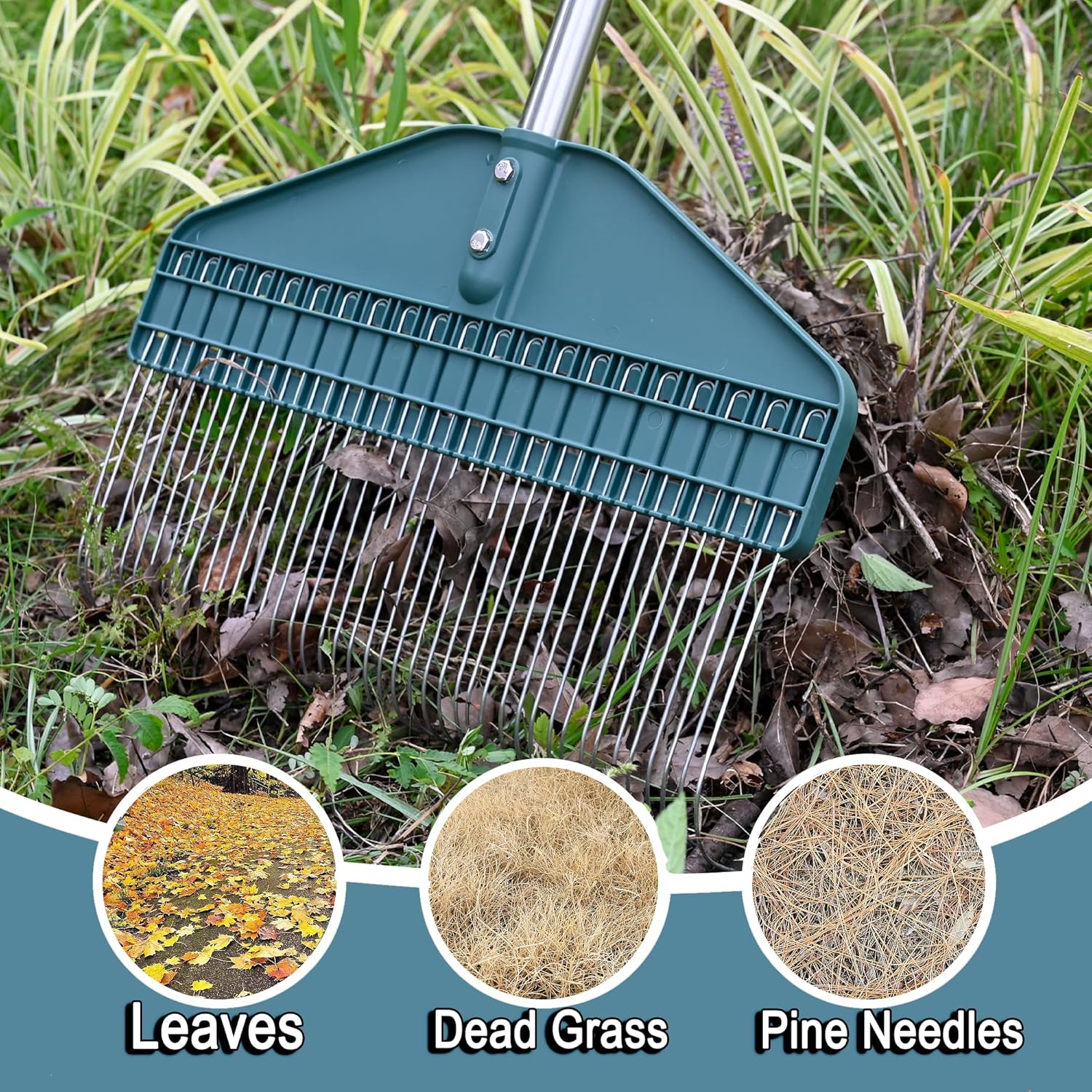 YEELOR Thatch Rake with 66 Inch Adjustable Handle, 17 Inch Wide Durable Dethatcher Rake, Ideal for Garden, Yard and Lawn, Used for Removing Thatch, Pine Needles, Burrs and Acorns