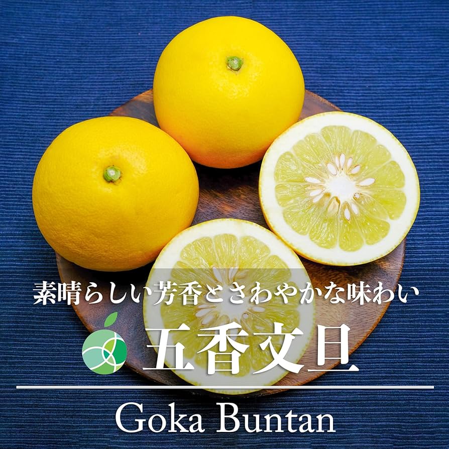 土佐文旦♪さおまま 000000000156-08-l.jpg?t=