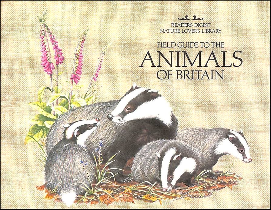 送込★FIELD GUIDE TO THE ANIMALS OF BRITAIN 91FKyVS7xiL._UF894,1000_QL80_.jpg