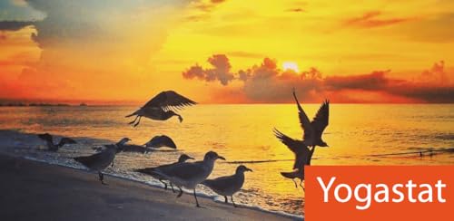 Yogastat - Frases para fazer yoga para compartilhar