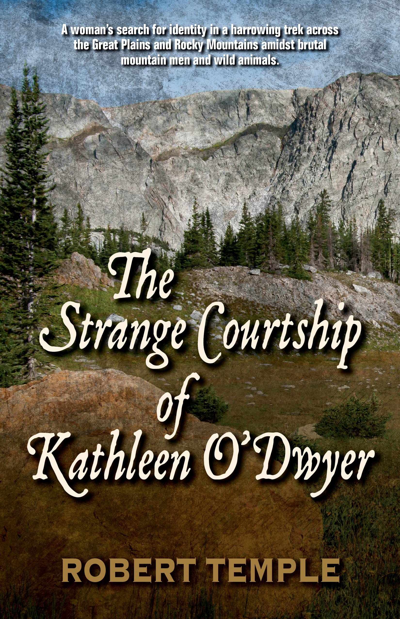 The Strange Courtship of Kathleen O'Dwyer Hardcover – December 21, 2022