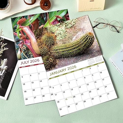 Miniatura 2 de Regalos de broma – Calendario divertido 2026, 12 meses desde enero de 2026 a diciembre de 2026, 11 x 17 pulgadas (abierto), calendario de pared con