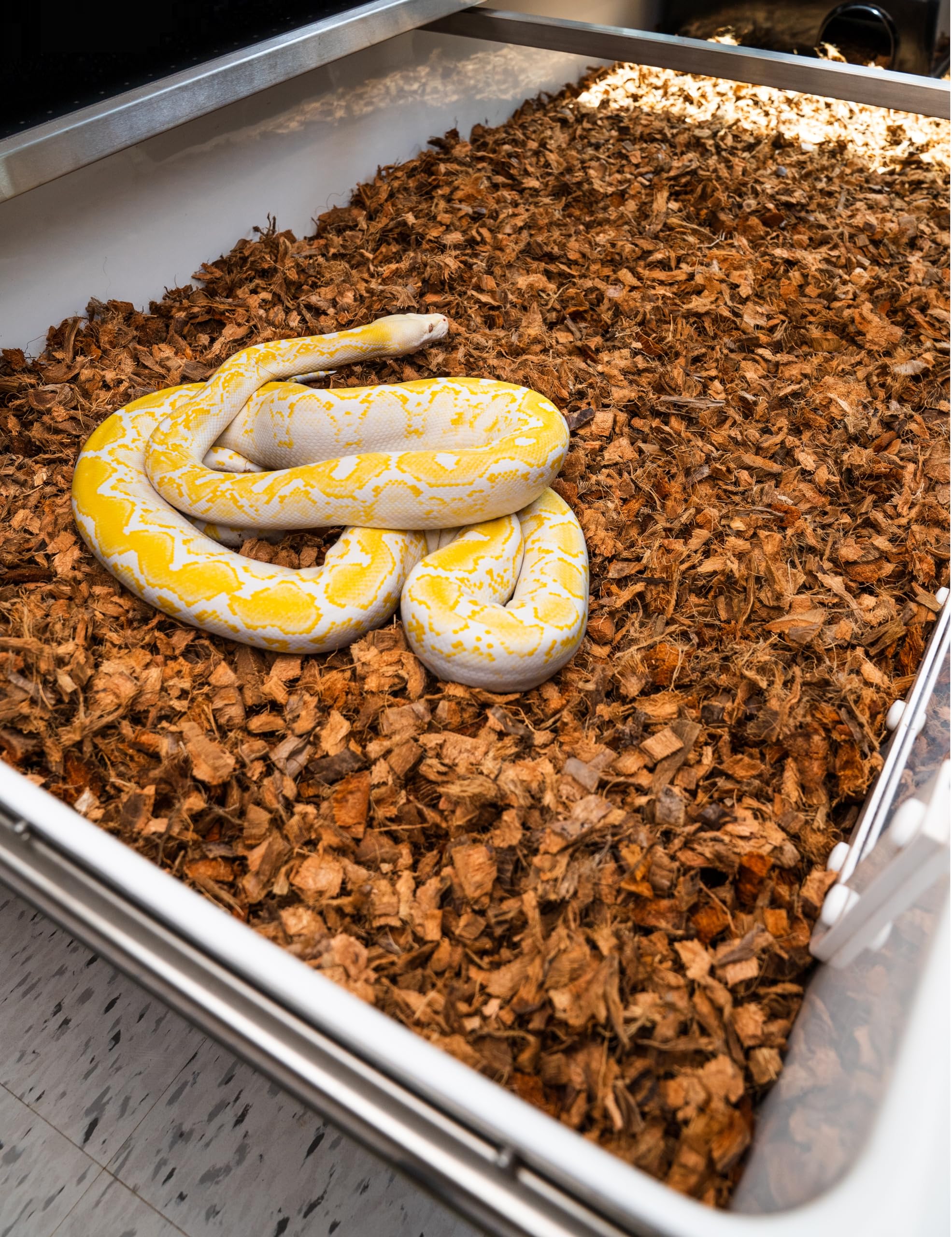 Sustrato de cáscara de coco para reptiles, bloque de 10 libras