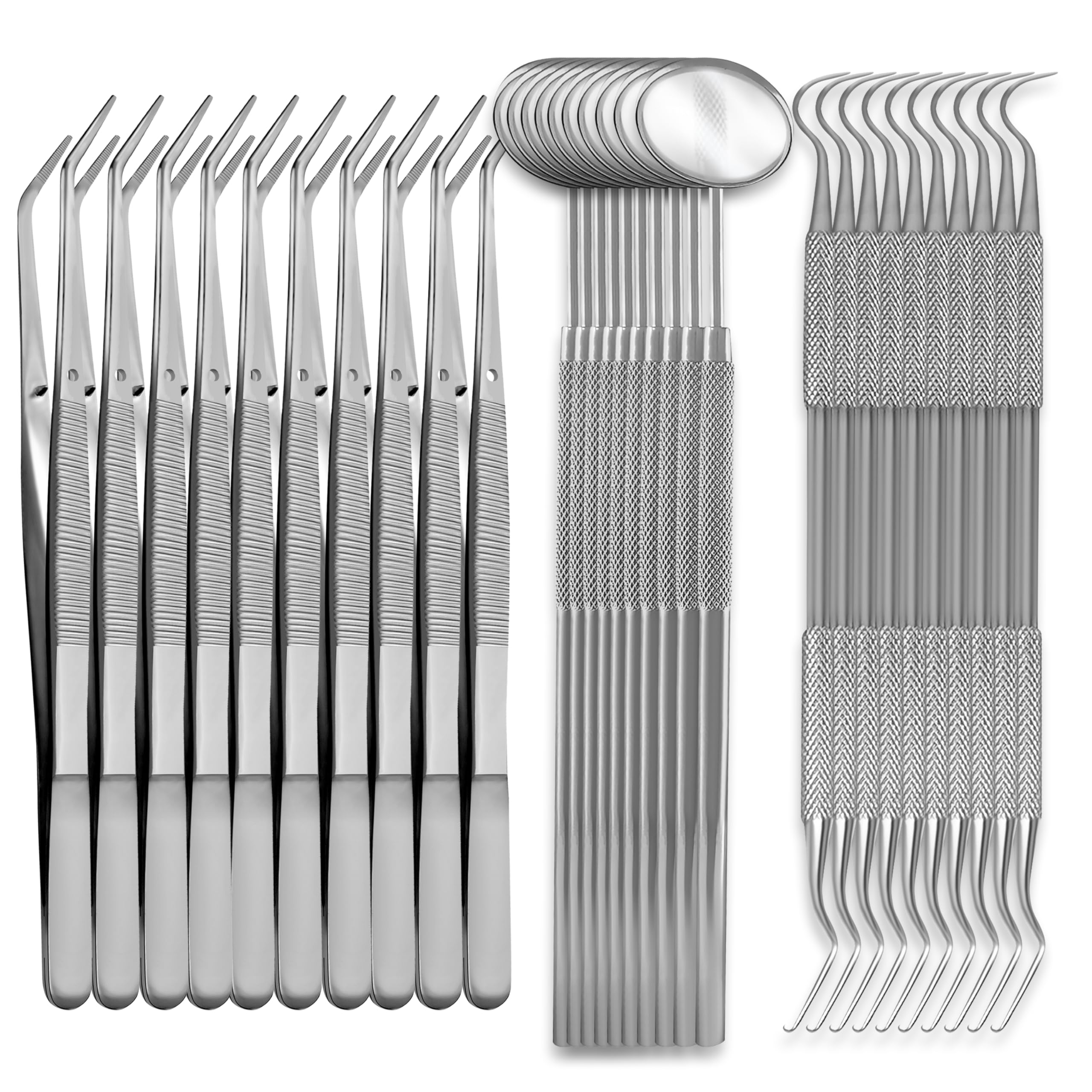Student Professional Training Dental Hygiene Kit, Stainless Steel Tools Set, Plaque Removal Instruments (10)
