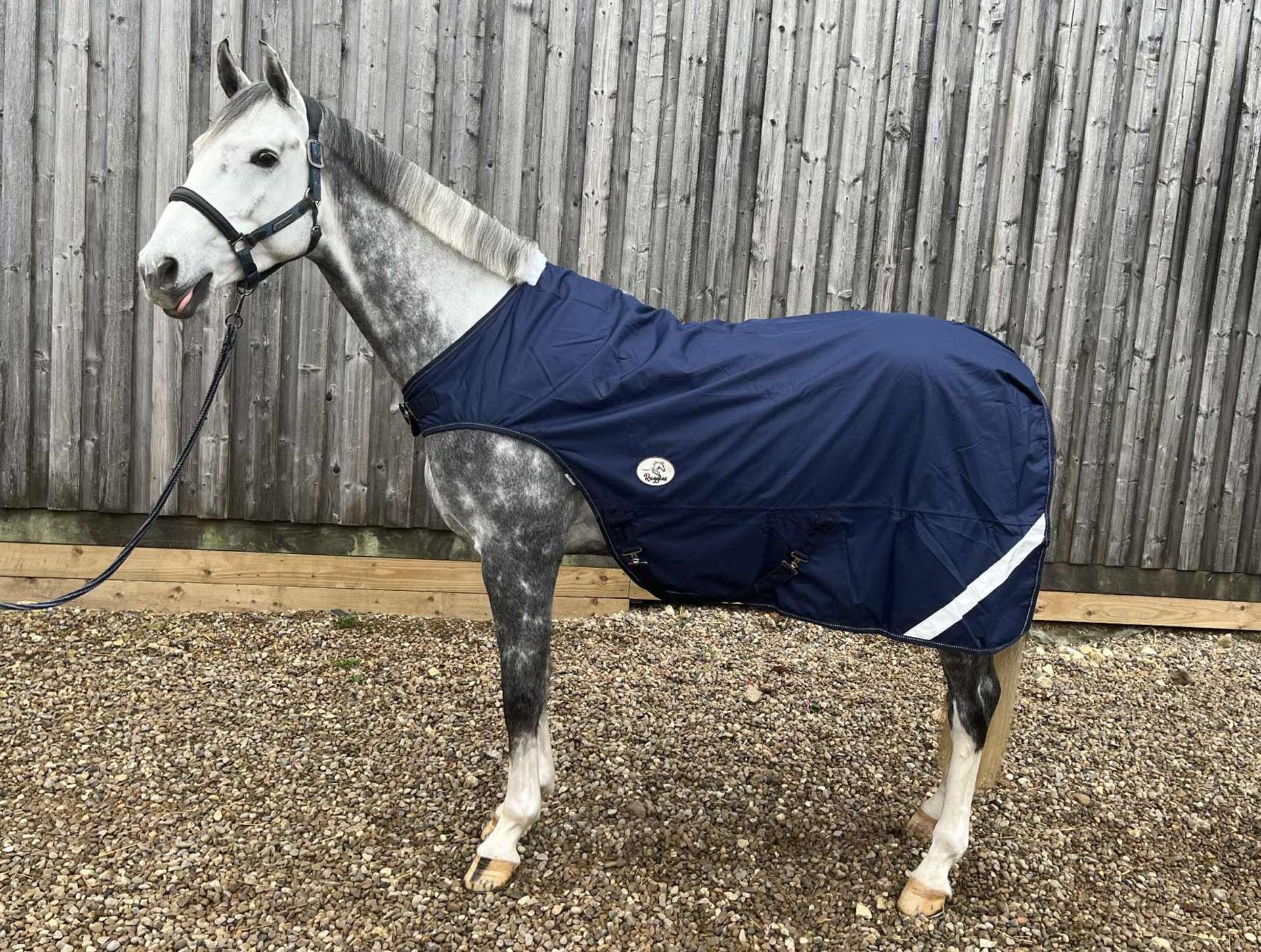 Ruggles Waterproof Fleece Lined Walker Rug for Horse/Pony - Ideal for Exercising on Walker Lunge or Groundwork (Navy, 5' 6")