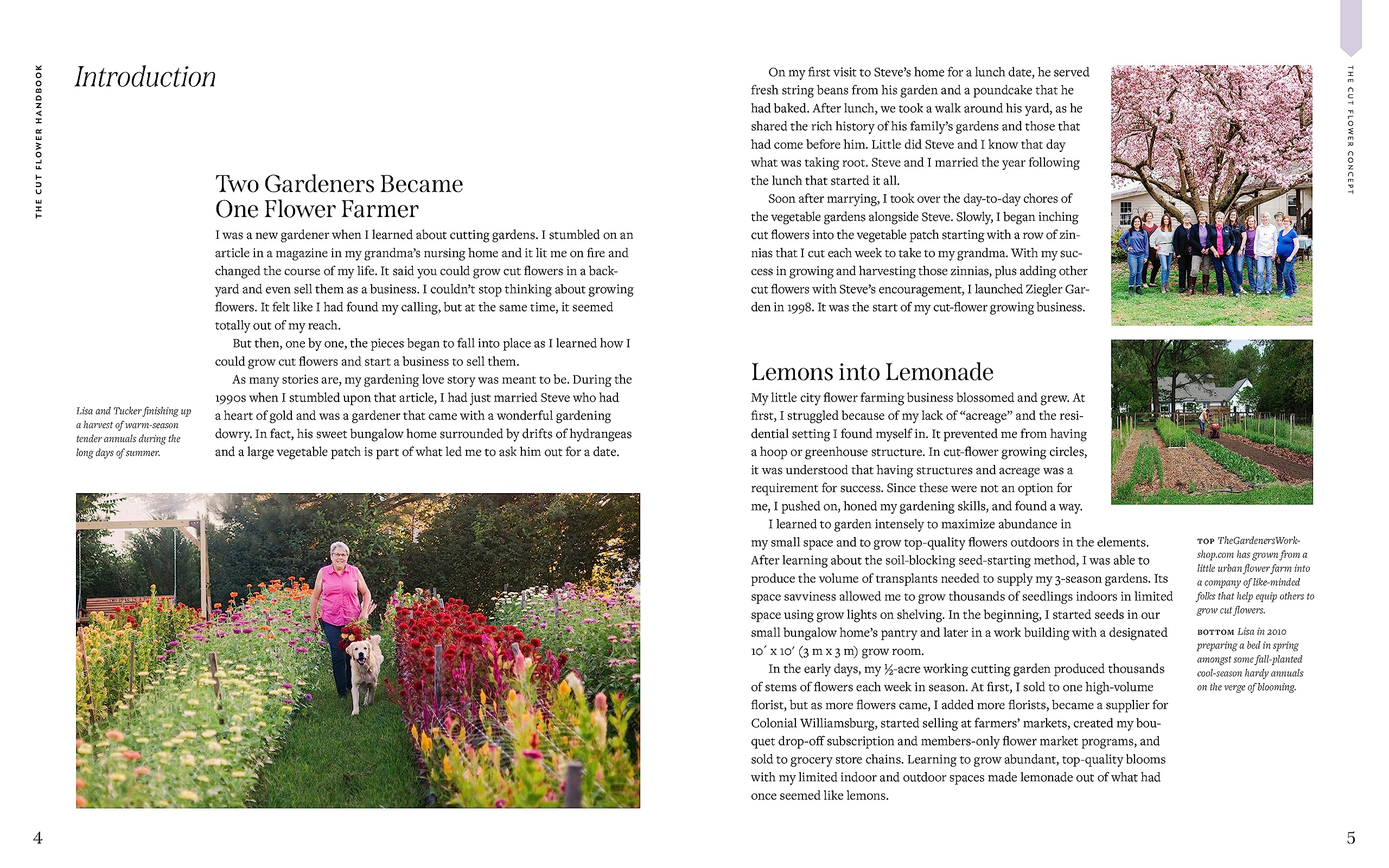 Cut Flower Handbook: Select, Plant, Grow, and Harvest Gorgeous Blooms