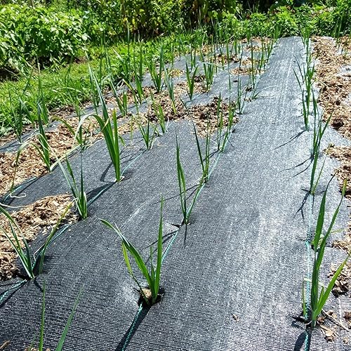 Miniatura 7 de Groweco Tela de barrera de malezas resistente, barrera de tela de mala hierba de 3 x 15 pies, mantillo negro resistente para tela de paisajismo,
