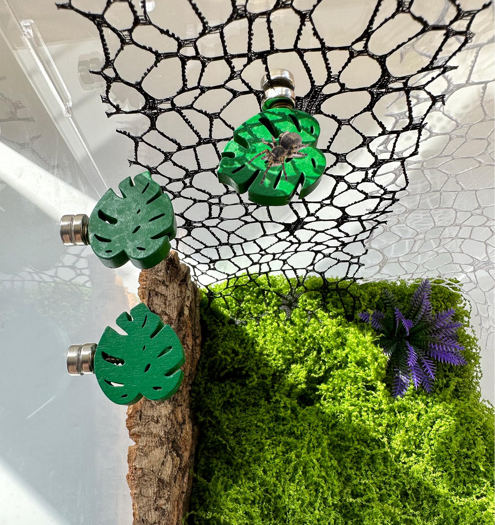 Okueejur 3 Pack Leaf-Shaped Jumping Spider Enclosure Ledges with Magnets for Spoods Jumping Spiders Decoraction Jumping Spider Accessories (Not Included The Jumping Spider Terrarium) - Image 2
