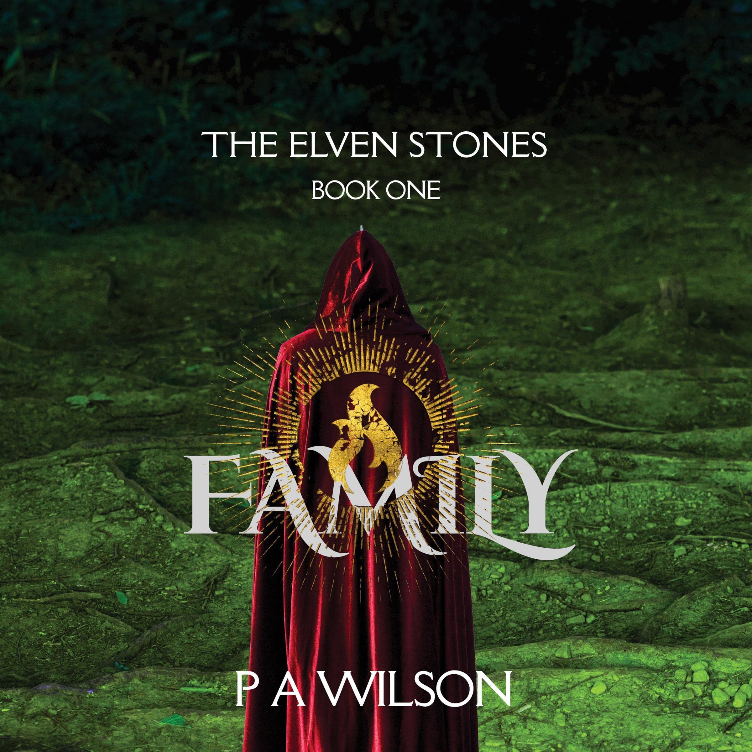 Cover art for The Elven Stones: Family