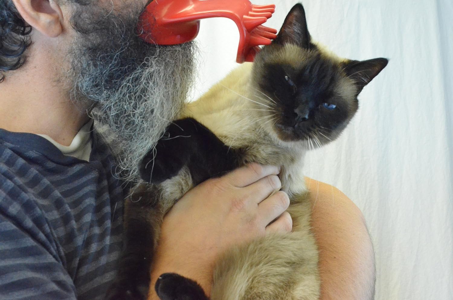 pet corrector holster