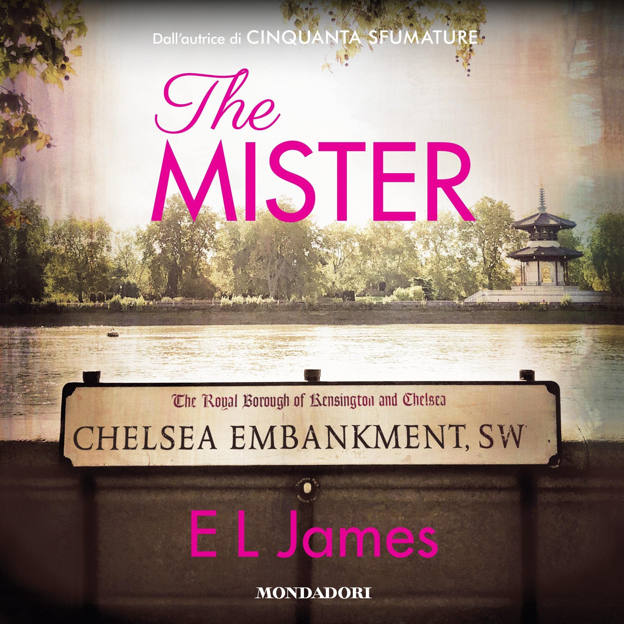 Cover art for The mister