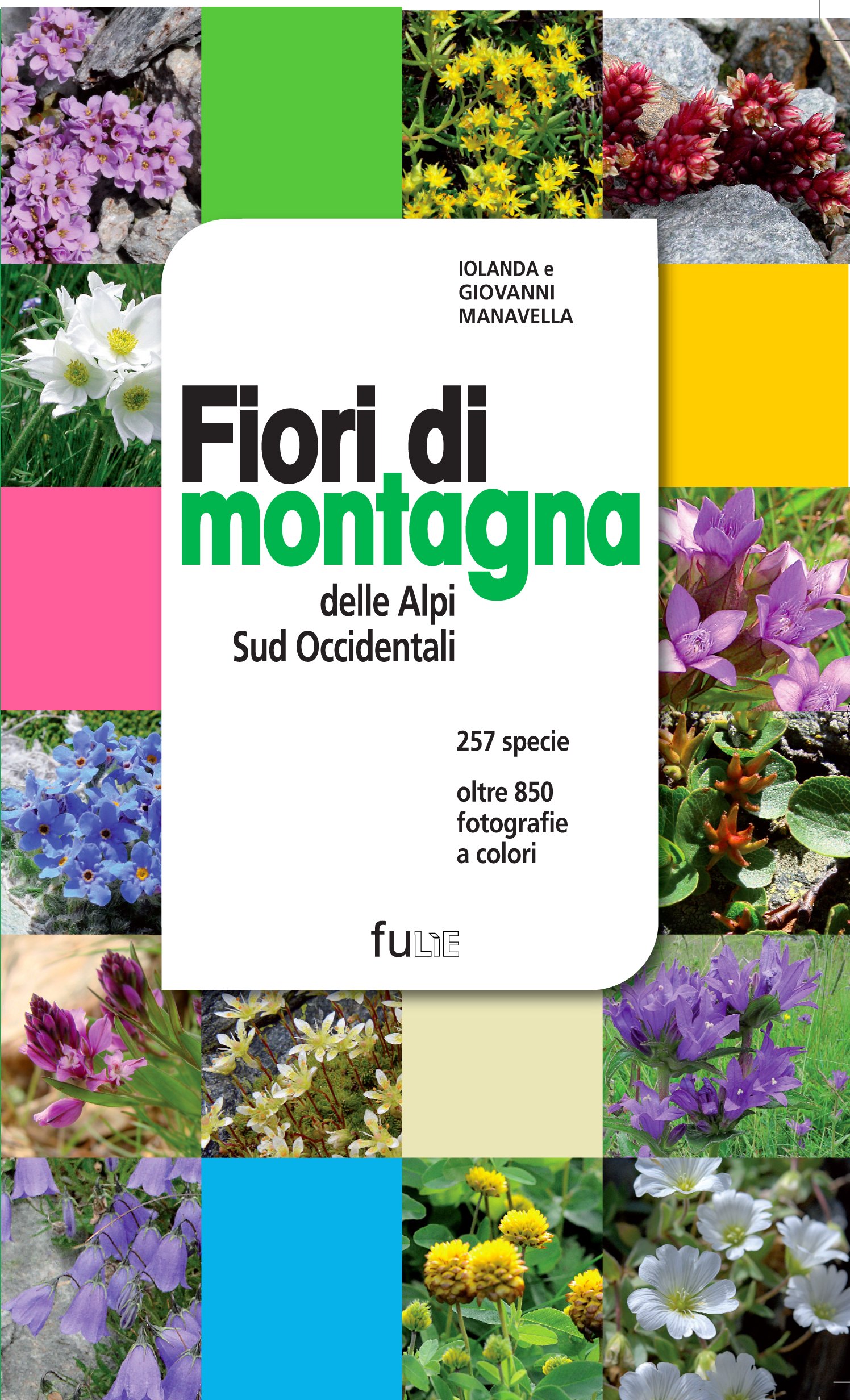 Fiori di montagna delle Alpi sud occidentali. Ediz. illustrata