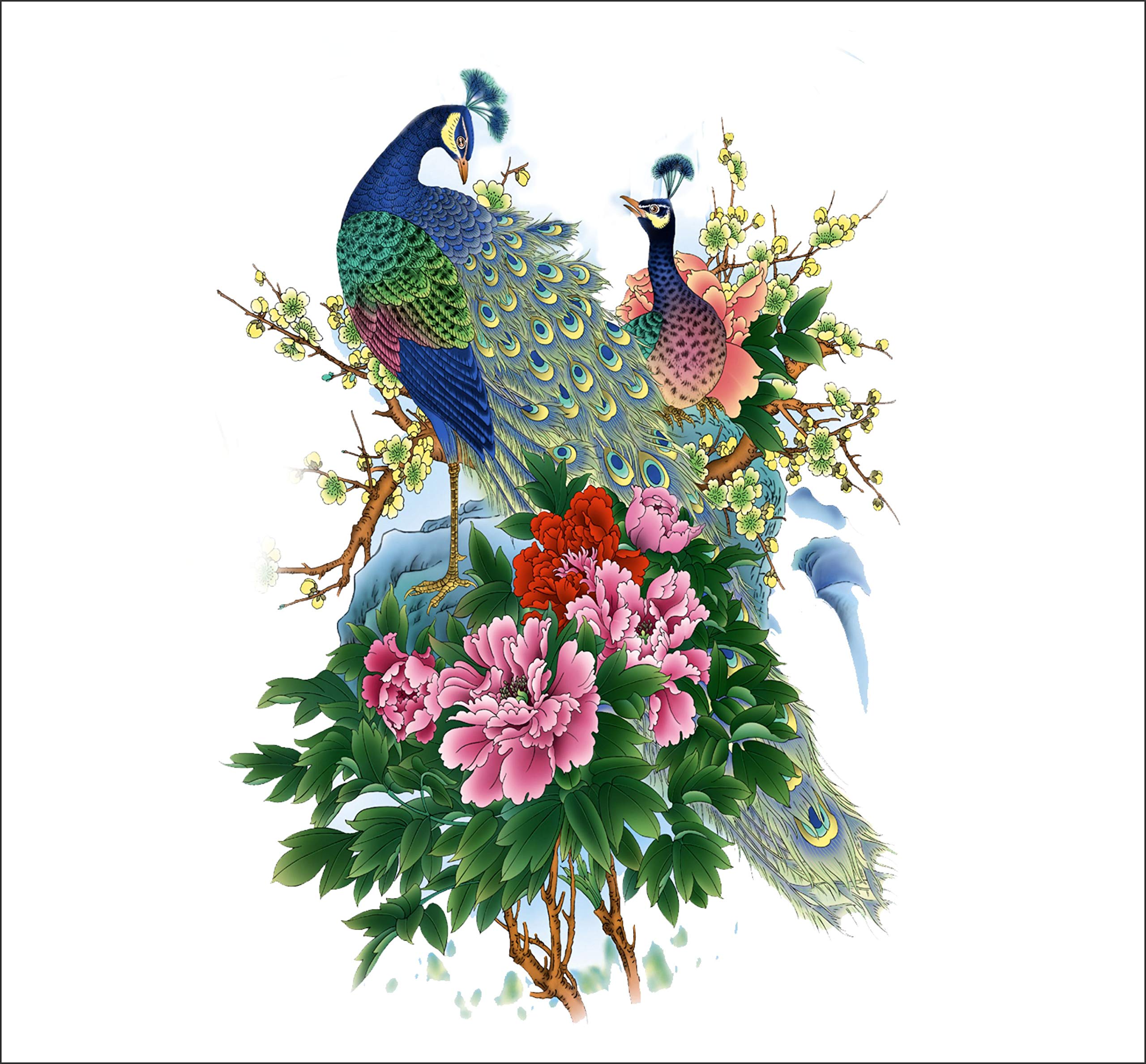Sky Decal Lovely Peacock Multicolour Wall Sticker for Living Room (PVC Vinyl Covering Area 75cm X 56cm) (B08QSJMP7L) Amazon Price History, Amazon Price Tracker