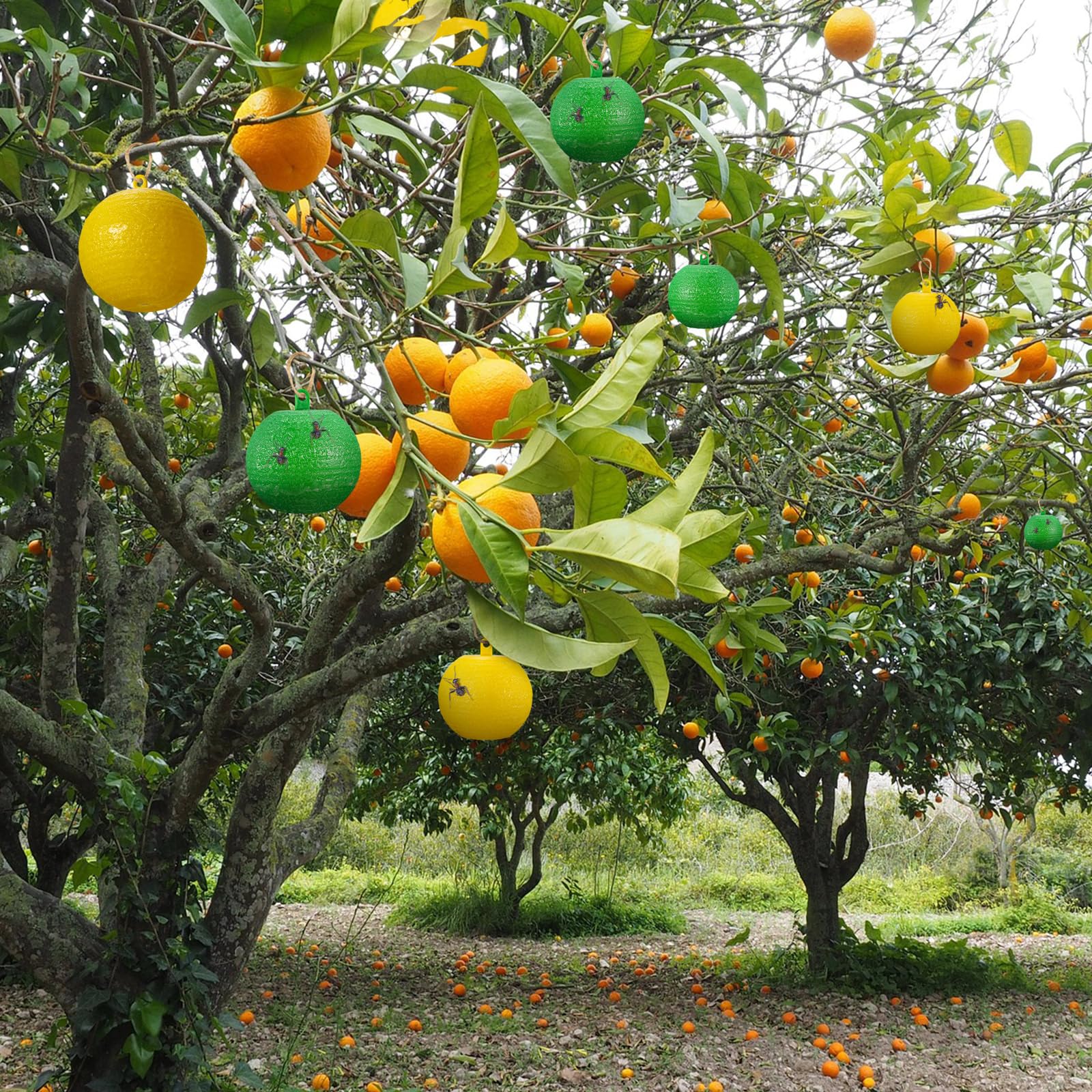 Sticky Fruit Fly Trapping Ball – Sticky Fly Catching Glue Balls For Gnats, Mosquitoes & Flying Insects – Non-Toxic Indoor/Outdoor Bug Trap - Foto 13