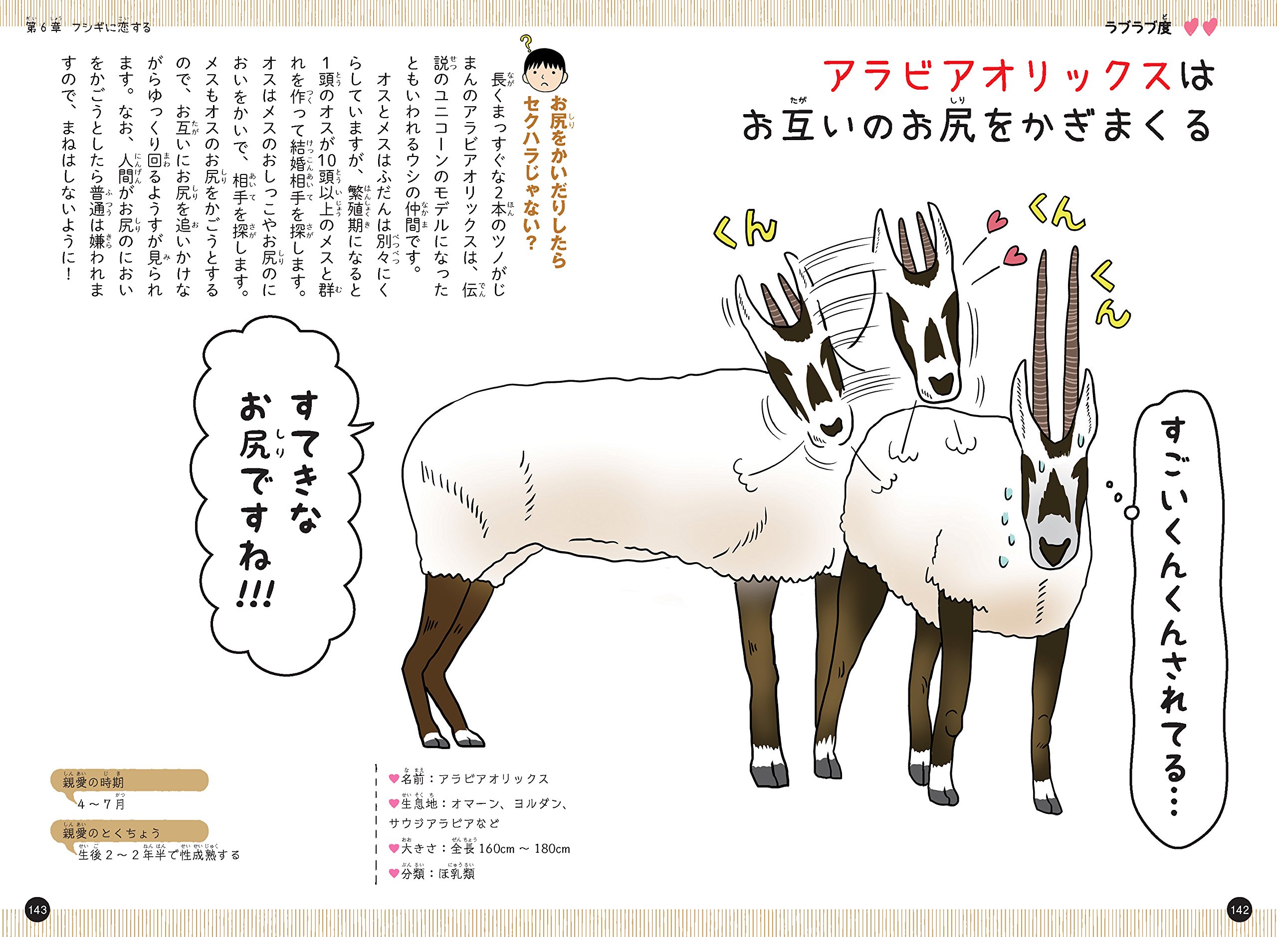 恋するいきもの図鑑 今泉忠明 本 通販 Amazon