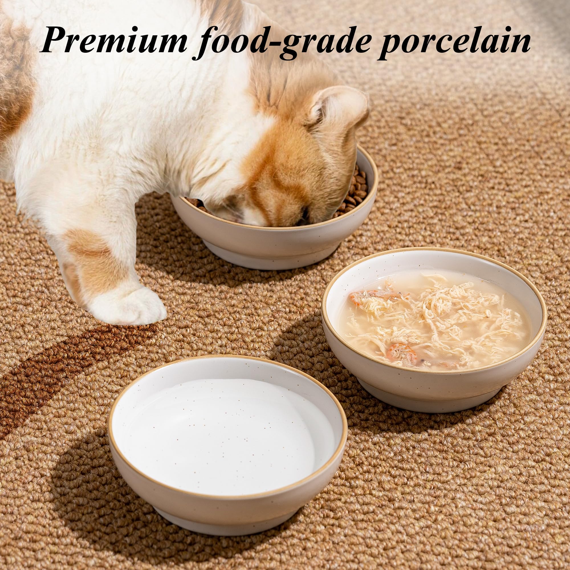 Lot de 3 gamelles en céramique pour chat pour nourriture et eau, en porcelaine de qualité alimentaire, 13,5 cm, pour nourrir les chats d'intérieur, les chatons et les petits chiens, durables et