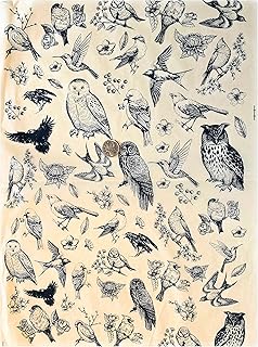 Woodland Birds