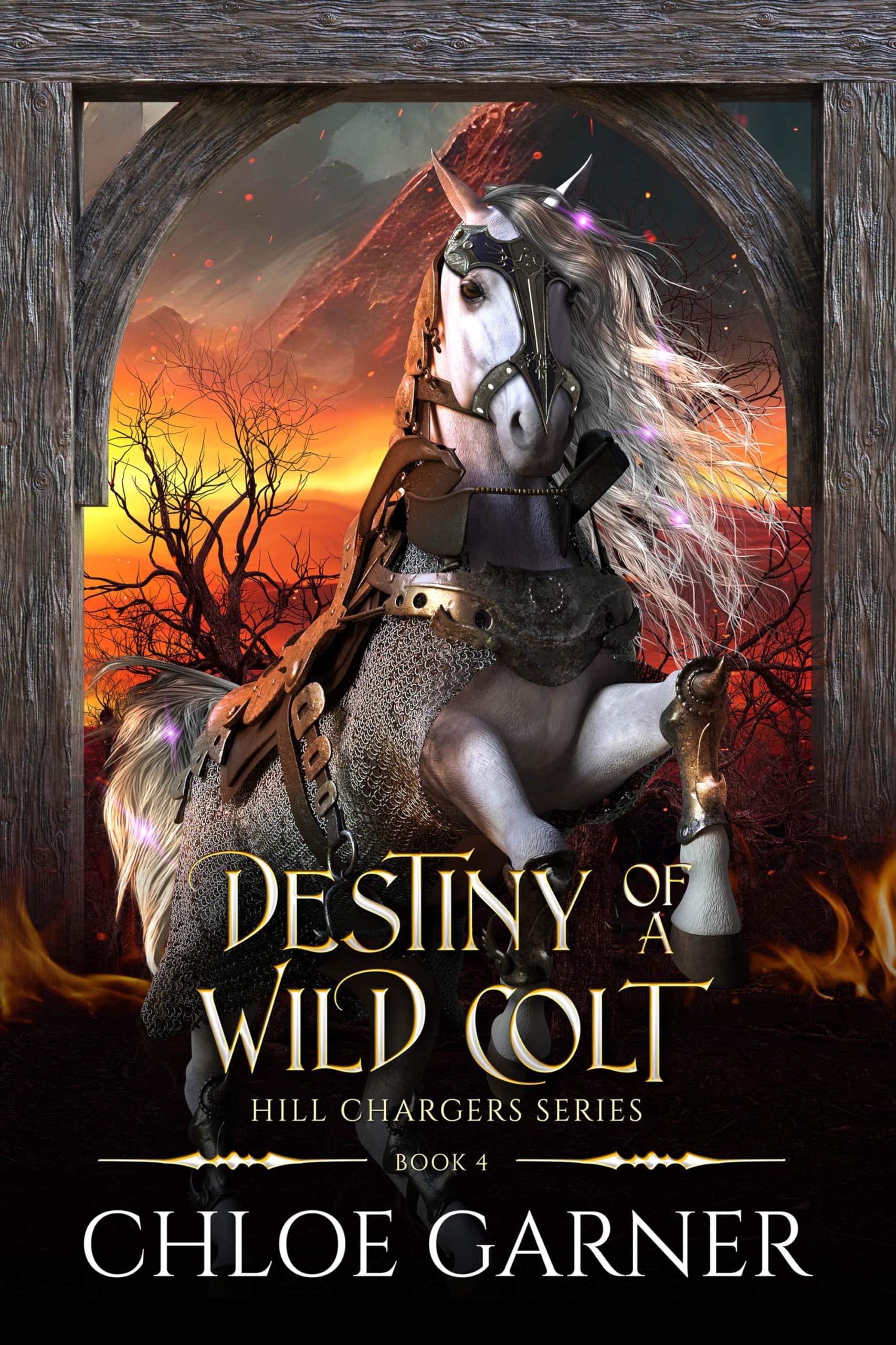 Cover of Destiny of a Wild Colt